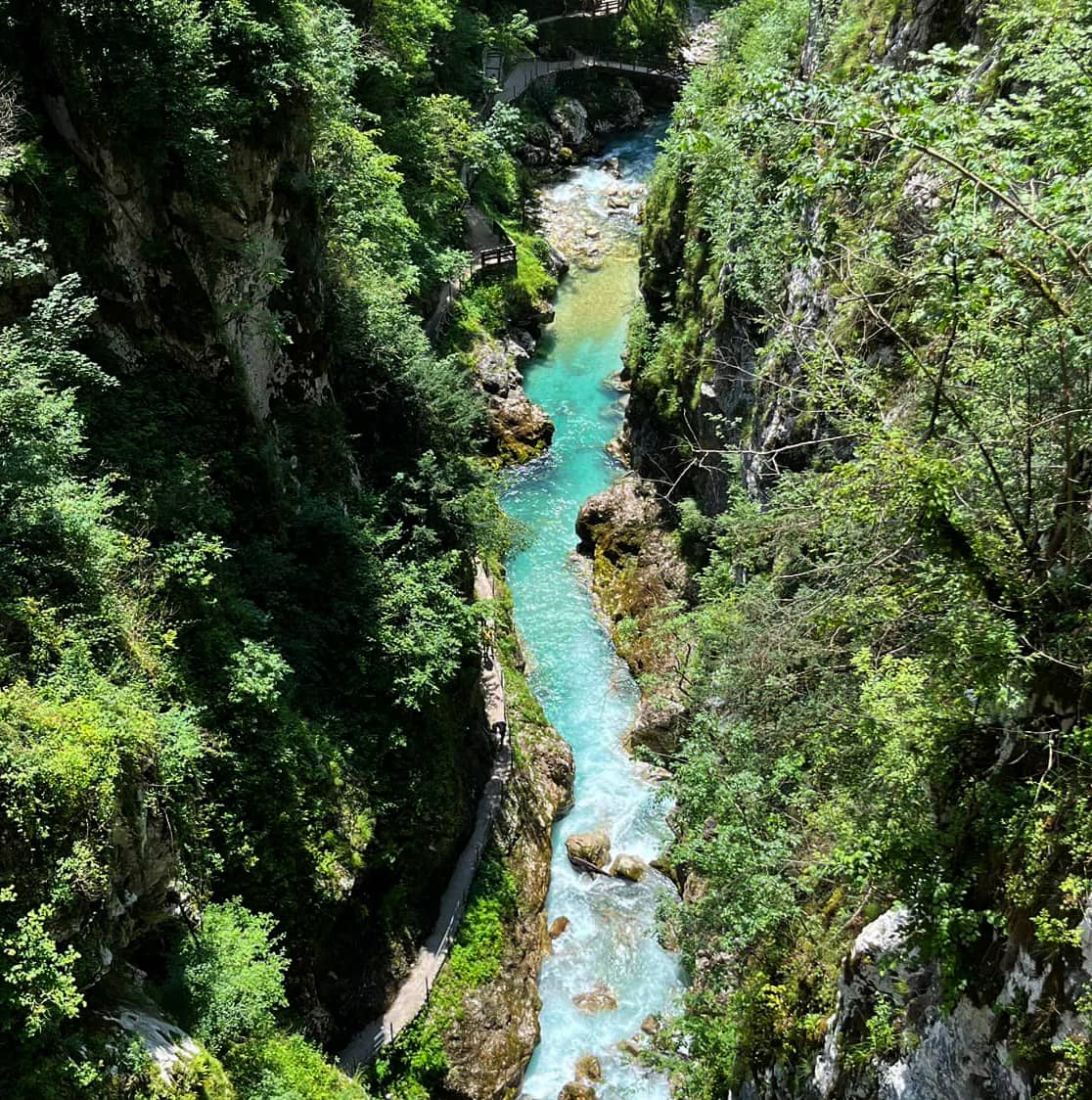 Tolminkloof vanaf de brug