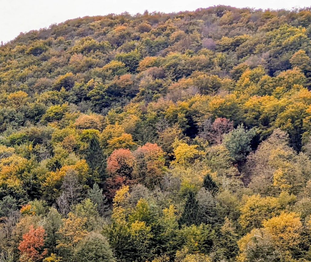 Herfstkleuren in Slovenië
