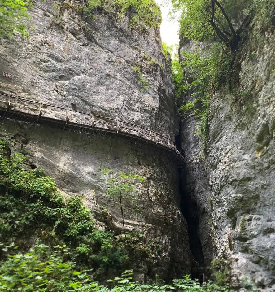 Pfad durch die Pokljuka-Schlucht