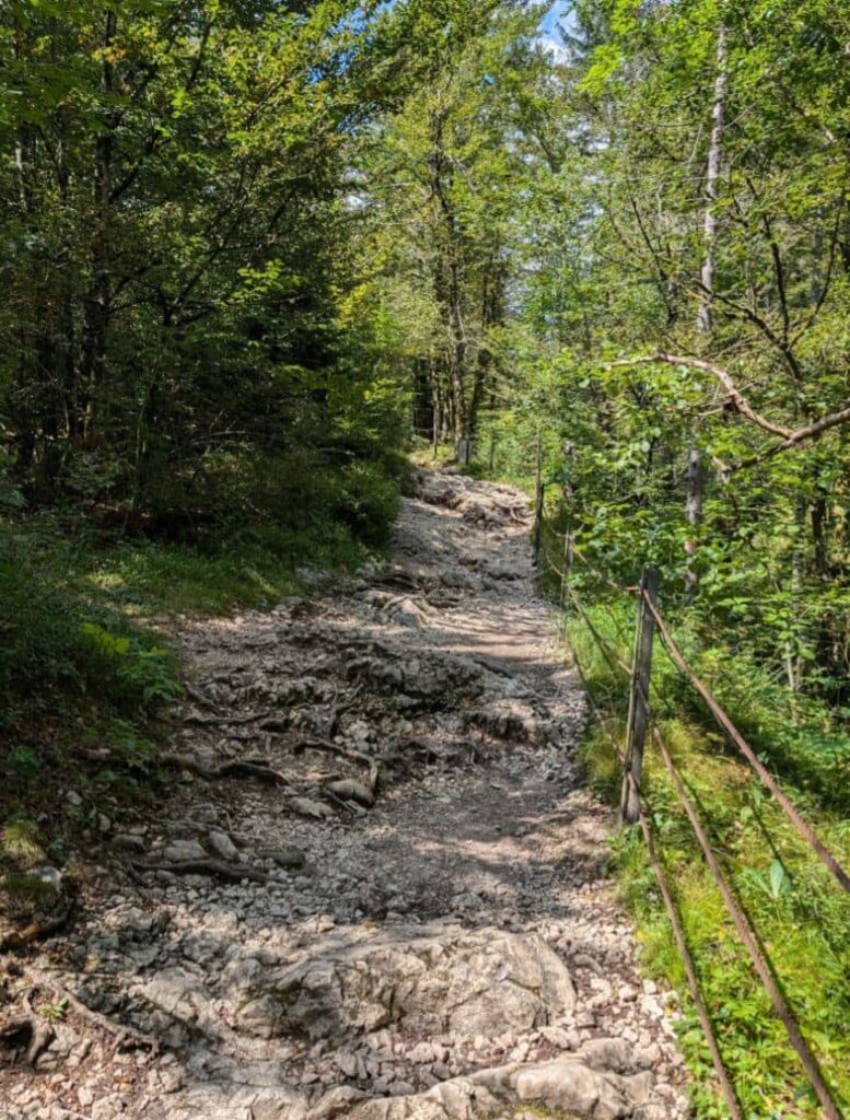 wanderwege in der mostnica-klamm