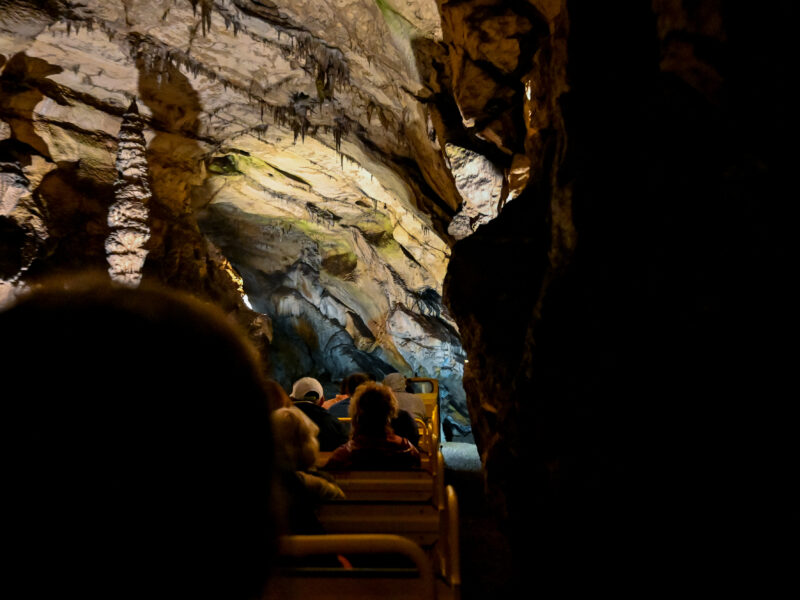 de grotten van postojna
