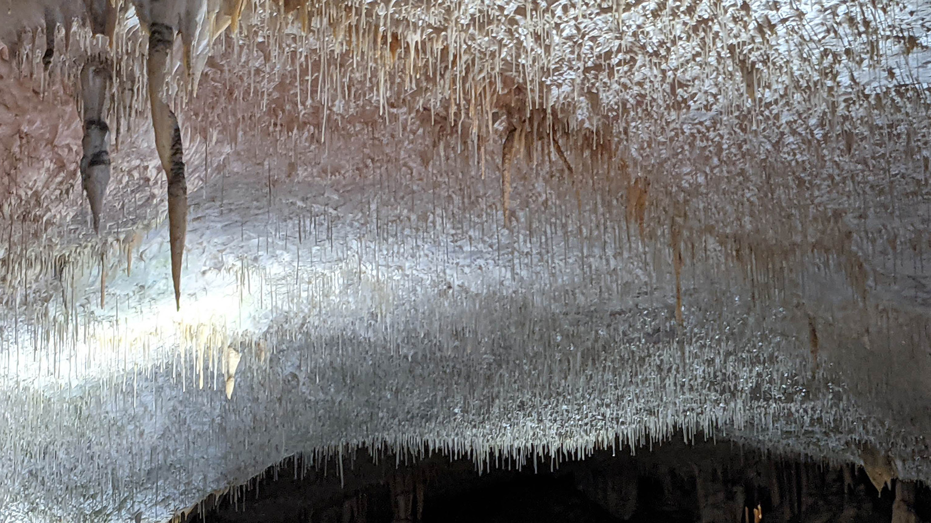 postojna, grot, spaghetti2